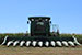 Harvest 2011