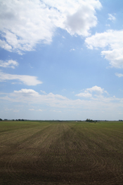 Landowners